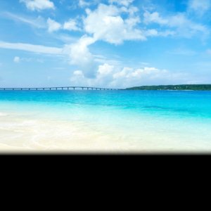 Pokelid Okinawa Pokelid Okinawa