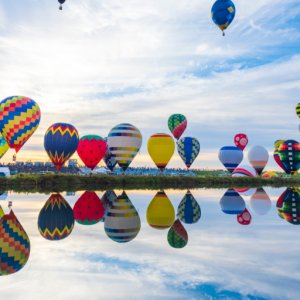 Pokelid Saga Pokelid Saga