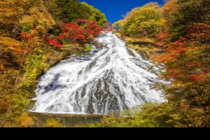 Pokelid Tochigi Pokelid Tochigi