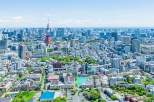 Pokelid Tokyo Pokelid Tokyo