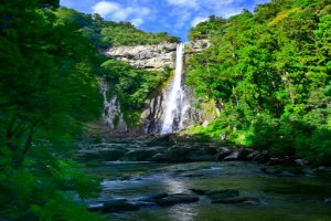 Pokelid Wakayama Pokelid Wakayama