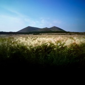 Pokemon GO at Jeju Island
