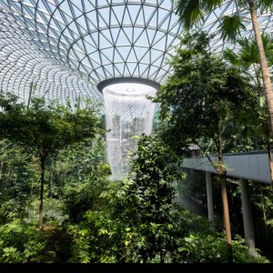 PokeXciting Singapore PokeXciting Singapore