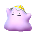 Ditto