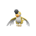 V0931_POKEMON_SQUAWKABILLY_YELLOW