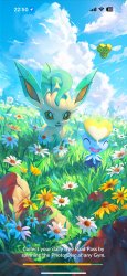 Delightful Days