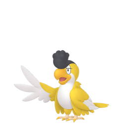 Yellow Plumage