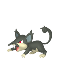 Rattata in Pokémon HOME