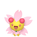 Cherrim (Sunshine Form) in Pokémon HOME