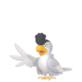 Squawkabilly (White Plumage) in Pokémon HOME
