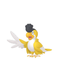Squawkabilly (Yellow Plumage) in Pokémon HOME