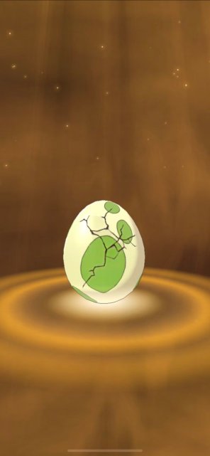 Pokémon Egg Image