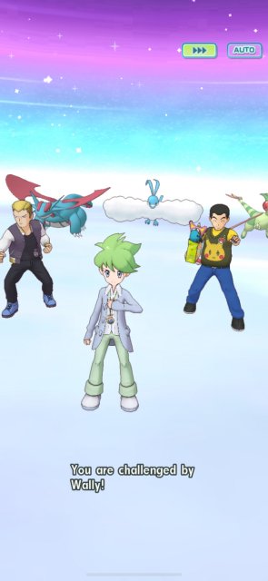 Challenge Wally Image