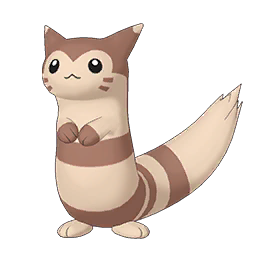 Furret Image