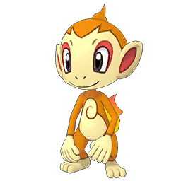 Chimchar