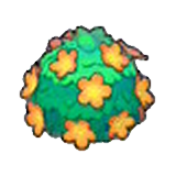 Adorable hedge (orange)