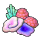 Colorful corals