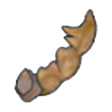 Despot Fossil (tail)