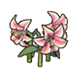 Elegant flower (pink)