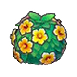 Healthy hedge (orange)