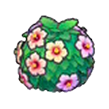 Healthy hedge (pink)