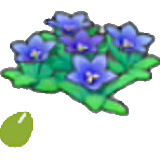 Mountain-flower seeds