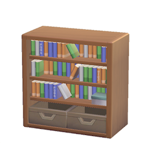 Brown Bookcase