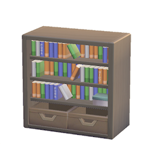 Black Bookcase