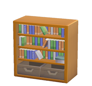 Orange Bookcase