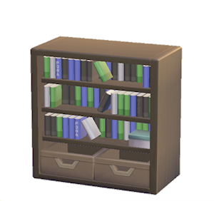 Black Bookcase