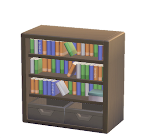 Black Bookcase