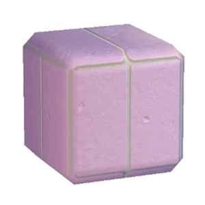 Plum Lined-stone flooring