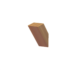 None Roof support