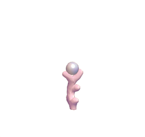 Pink Seashell fencing