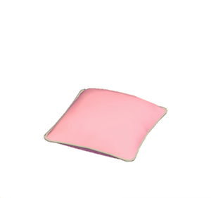Pink Simple cushion