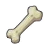 Rare Bone