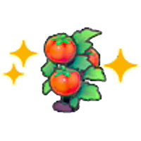 Ripe Tomato plant (Grow)