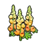 Robust flower (orange)