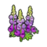 Robust flower (purple)