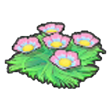 Seabed flowers (Pink)