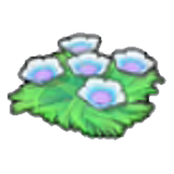 Seabed flowers