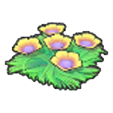 Seabed flower seeds (Yellow)
