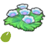 Seabed flower seeds