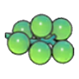 Sea grapes