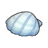 Seashell (outdoor)