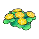 Seashore flowers (yellow)