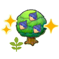 Small Chesto tree (Grow)