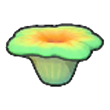 Small coral (Green)