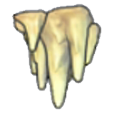 Stalactites