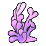 Tall coral (Purple)
